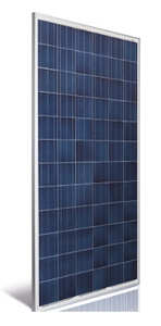 Astronergy ASM6612P-320 Wp > 320 Watt Poly Solar Panel Pallet - Made in Germany - 20 Panels