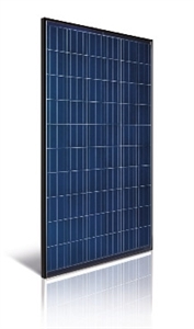 Astronergy CHSM6610P-245 Wp > 245 Watt Poly Solar Panel - Black Frame