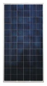 Astronergy CHSM6612P/HV-325 Wp > 325 Watt Poly Solar Panel Pallet - 25 Panels