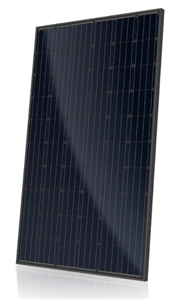 Canadian Solar CS6K-280W-T4 ALL BLACK > 280 Watt Mono Solar Panel - 5BB - All Black - BoB