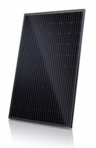 Canadian Solar CS6K-All Black-295MS > 295 Watt Mono-PERC Solar Panel - 35mm Frame - 15A Fuse - Black Frame, Black Backsheet