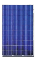 Canadian Solar 240 Watt 29 Volt Solar Panel - CS6P-240P