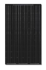 Canadian Solar CS6P-255M BLK > 255 Watt Black Solar Panel
