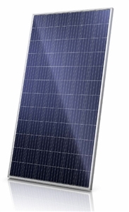 Canadian Solar CS6U-320P > 320 Watt Solar Panel