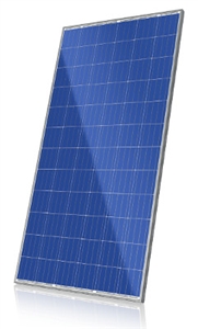 Canadian Solar CS6X-320P  > 320 Watt Solar Panel - Pallet of 26 Modules