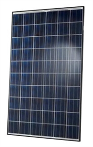 Hanwha - Q-Cells 260 Watt Poly Solar Panel - Black Frame - Q.Pro-BFR-G3.260