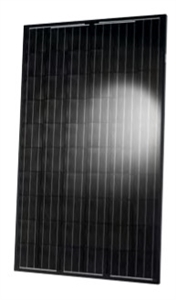 Hanwha Q Cells 270 Watt Mono Solar Panel - Black Frame - Q.PEAK BLK-G3 270