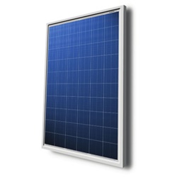 Talesun TP660P 240W - 240 Watt Solar Panel