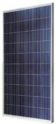 Astronergy 220 Watt 36 Volt Poly Solar Panel - CHSM 6610P-220