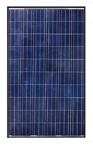 Canadian Solar CS6P-265P > 265 Watt Black Frame Solar Panel