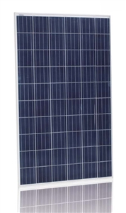 Jinko Solar JKM-270P-60 > 270 Watt Solar Panel