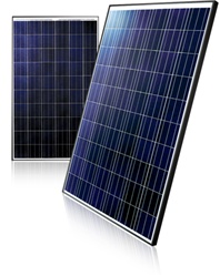 LG Solar 225 Watt 29 Volt Solar Panel - LG225P1C