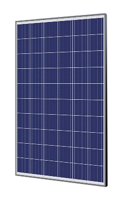Trina Solar 265 Watt Black Frame Solar Panel - TSM-265PD05.08