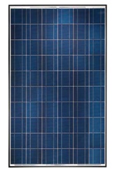 Yingli YL250P-29b BLK - 250 Watt Black Frame Solar Panel