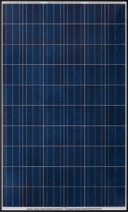 Yingli 265P-29b BLK > 265 Watt Black Frame Solar Panel
