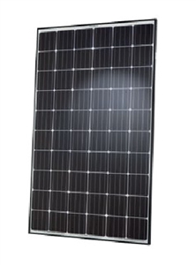 Hanwha Q.PLUS-G4.1 300 > Q-Cells 300 Watt Mono Solar Panel - Black Frame